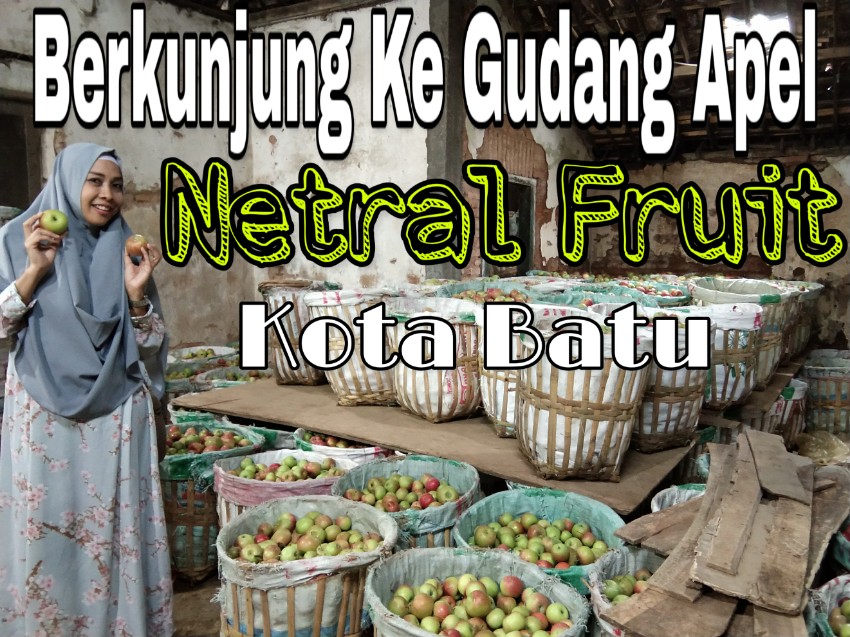 Berkunjung ke Gudang Apel Netral Fruit di Batu